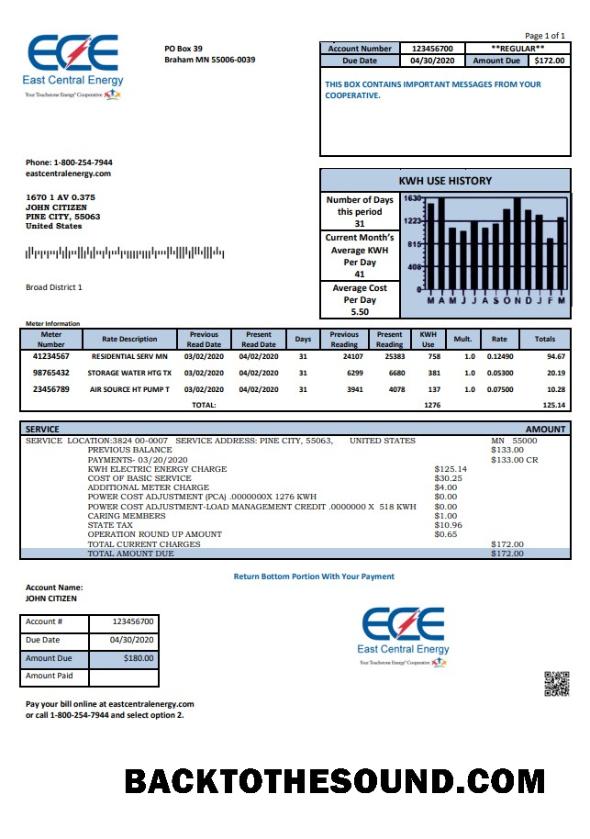 İndir ABD Minnesota East Central Energy Fatura Fatura in Word and PDF (.doc and .PDF) Format Örnek şablon