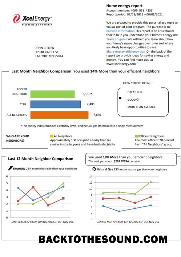 İndir ABD Minnesota Xcel Energy Fatura Fatura in Word and PDF Format (.doc and .PDF) Örnek ön izleme
