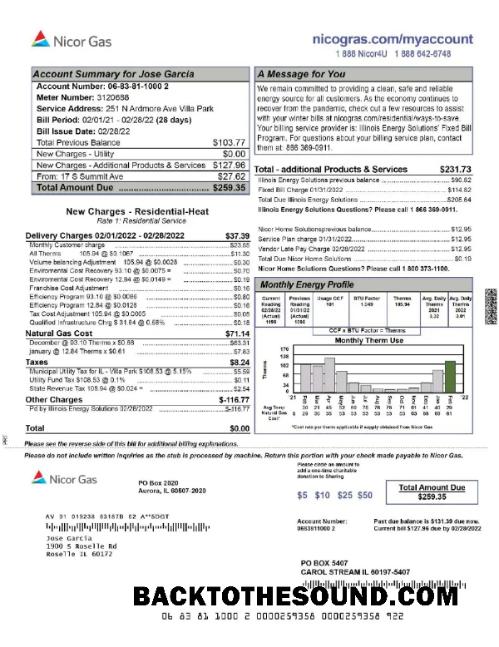 İndir ABD NICOR Gaz Fatura Fatura Word and PDF Örnek tasarım