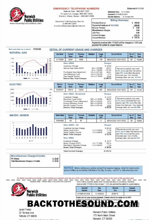 İndir ABD NORWICH PUBLIC UTILITIES Fatura Fatura Word and PDF Örnek şablon