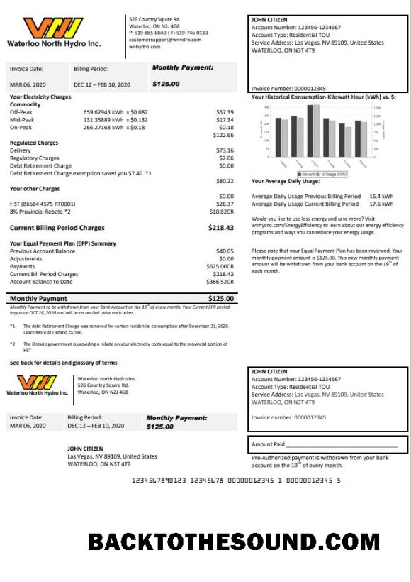 İndir ABD Nevada Waterloo North Hydro Fatura Fatura in Word and PDF Format Örnek şablon