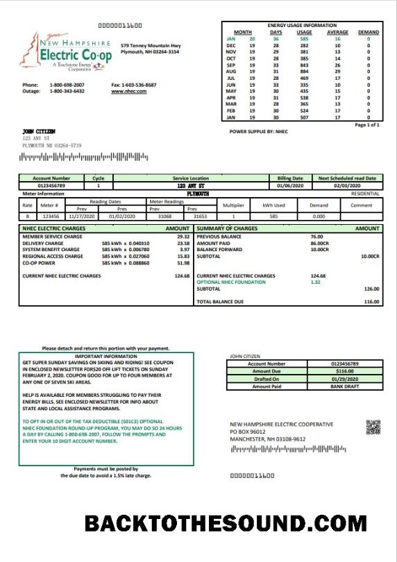 İndir ABD Yeni Hampshire Electric Co op Elektrik Fatura Fatura in Word and PDF Format Örnek şablon