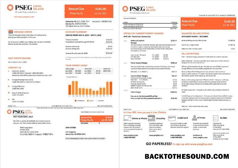 İndir ABD Yeni Jersey PSEG Elektrik Fatura Fatura in Word and PDF Format, 2 pages Örnek taslak