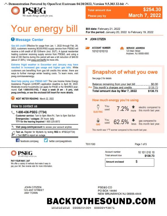 Premium İndir ABD Yeni York PSEG Fatura Fatura, Word and PDF Şablon, 5 pages 1 Örnek