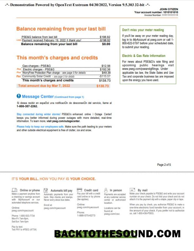 Premium İndir ABD Yeni York PSEG Fatura Fatura, Word and PDF Şablon, 5 pages 2 Örnek