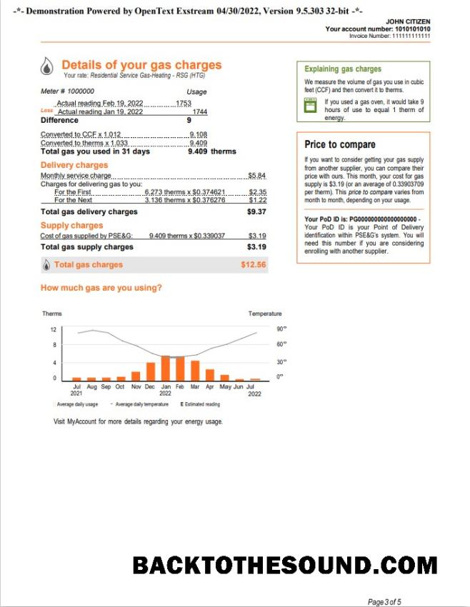 Yüksek Kalite İndir ABD Yeni York PSEG Fatura Fatura, Word and PDF Şablon, 5 pages 3 Örnek
