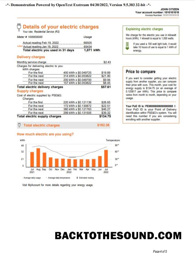 Düzenlenebilir İndir ABD Yeni York PSEG Fatura Fatura, Word and PDF Şablon, 5 pages 4 Örnek