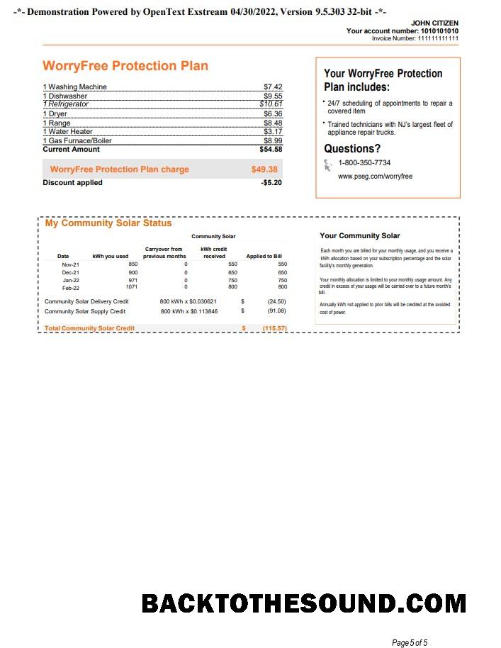 Gerçekçi İndir ABD Yeni York PSEG Fatura Fatura, Word and PDF Şablon, 5 pages 5 Örnek