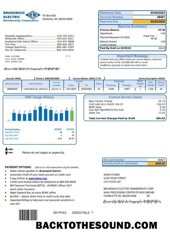 İndir ABD North Carolina Brunswick Electric Fatura Fatura in Word and PDF Format Örnek ön izleme