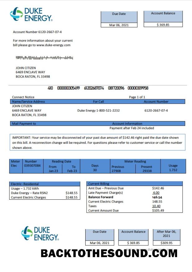 İndir ABD North Carolina Duke Energy Fatura Fatura in Word and PDF Format Örnek örnek