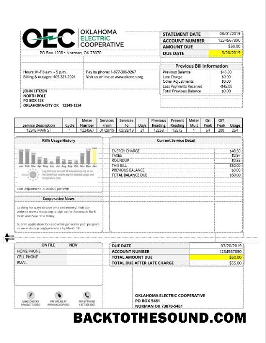 İndir ABD OEC Elektrik Fatura Fatura in Word and PDF Format Örnek örnek