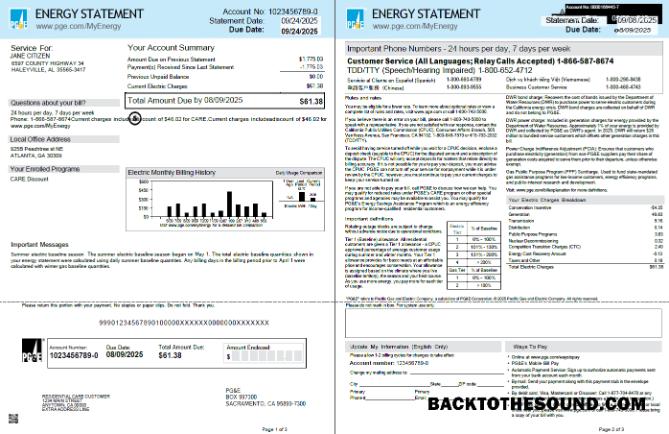 İndir ABD PG&E Fatura Fatura in Word and PDF Formatlar, 3 pages, 1 2 pages Örnek örnek