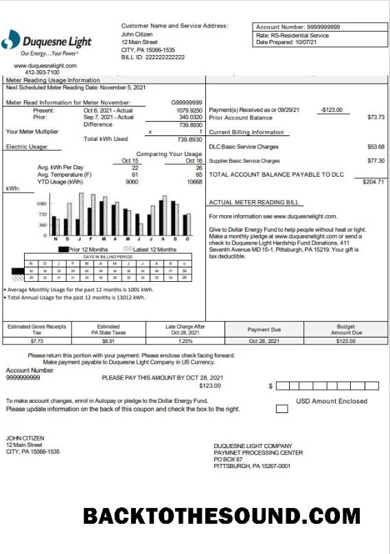İndir ABD Pennsylvania Duquesne Light Şirket Fatura Fatura in Word and PDF Format Örnek ön izleme