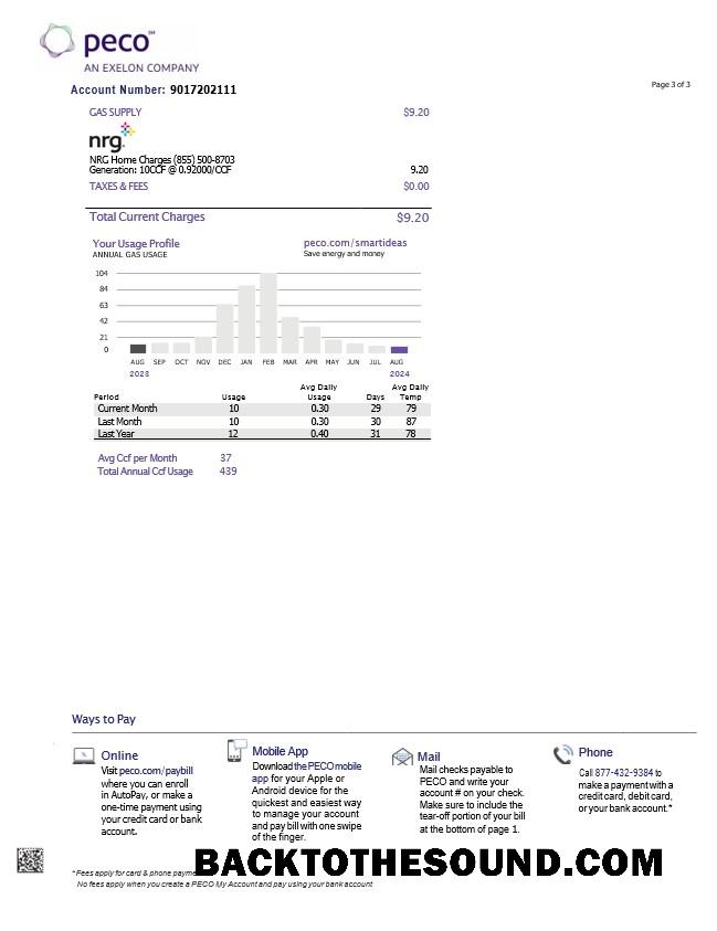 İndir ABD Pennsylvania PECO electric and Gaz Fatura Fatura, 3 pages 2 Örnek ön izleme