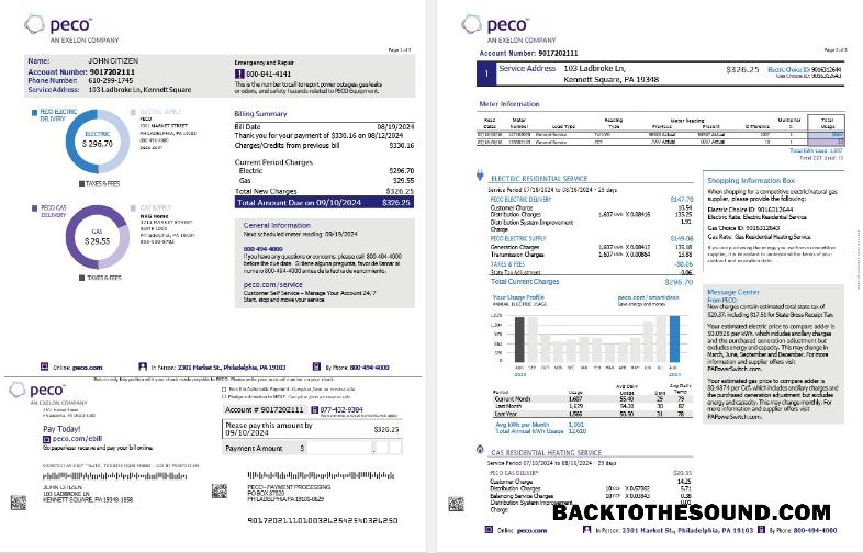 İndir ABD Pennsylvania PECO electric and Gaz Fatura Fatura, 3 pages Örnek taslak