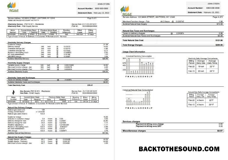 İndir ABD RG&E Fatura Fatura in Word and PDF Format (2 pages) 3 4 Örnek örnek