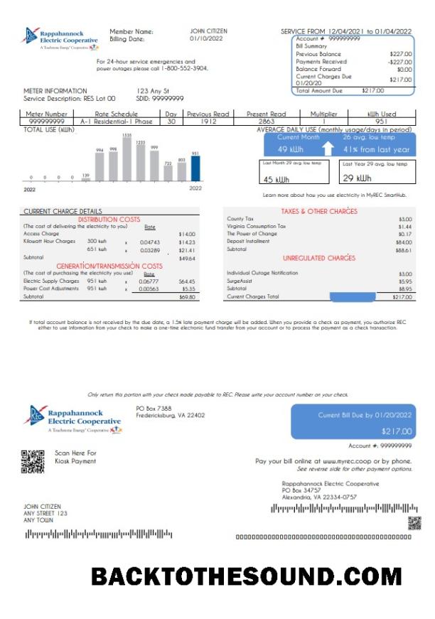 İndir ABD Rappahannock Electric Cooperative Fatura Fatura in Word and PDF Format Örnek ön izleme