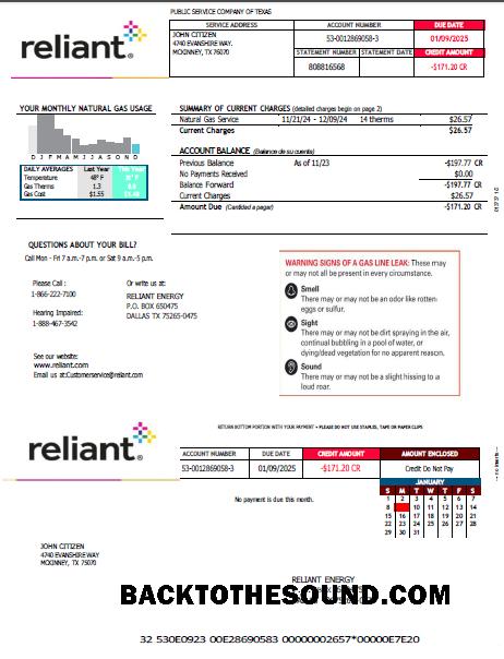 İndir ABD Reliant Energy Fatura Fatura in Word and PDF Formatlar Örnek ön izleme