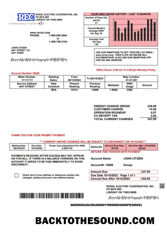 İndir ABD Rural Electric Cooperative Fatura Fatura in Word and PDF Format Örnek şablon