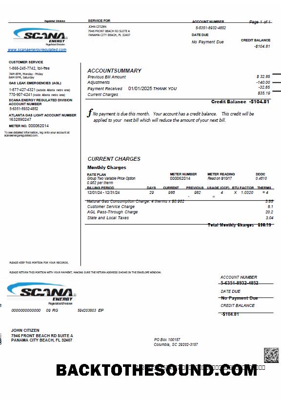 İndir ABD SCANA Energy Fatura Fatura in Word and PDF Formatlar Örnek örnek