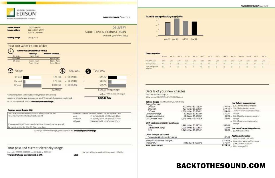 Düzenlenebilir İndir ABD Southern California EDISON Fatura Fatura, Word and PDF Şablon, 8 pages 3 4 Örnek