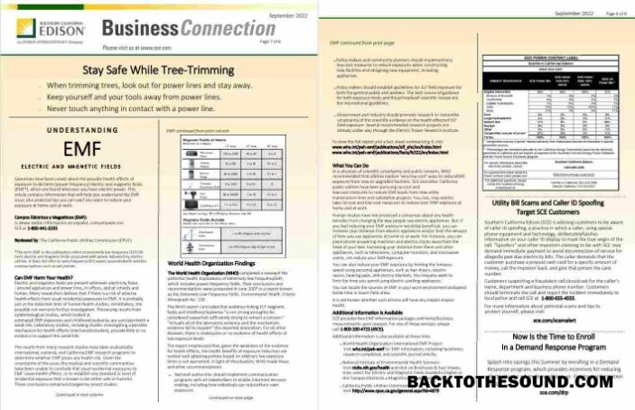 Premium İndir ABD Southern California EDISON Fatura Fatura, Word and PDF Şablon, 8 pages 7 8 Örnek