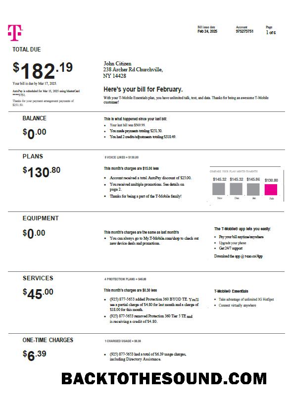 İndir ABD T mobile Fatura Fatura in Word and PDF Formatlar, Sürüm 4 Örnek tasarım