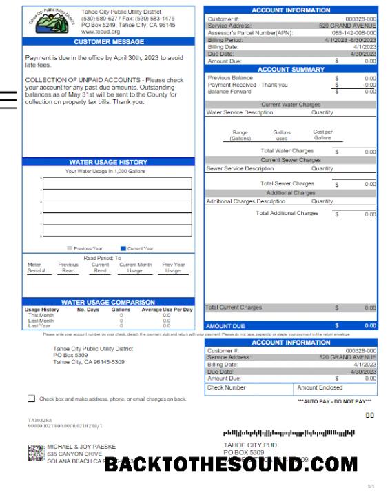 İndir ABD TAHOE CITY PUBLIC Fatura Fatura Fatura Word and PDF Örnek ön izleme
