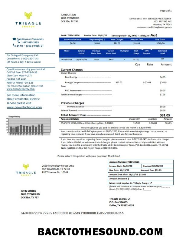 İndir ABD Texas TriEagle Fatura Fatura in Word and PDF (.doc and .PDF) Format Örnek tasarım