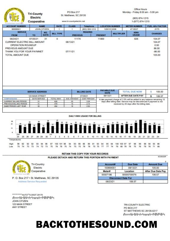 İndir ABD Tri County Electric Cooperative Fatura Fatura in Word and PDF Format Örnek örnek