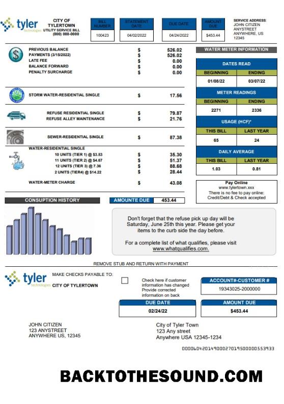 İndir ABD Tyler Technologies Fatura Fatura in Word and PDF Format Örnek şablon