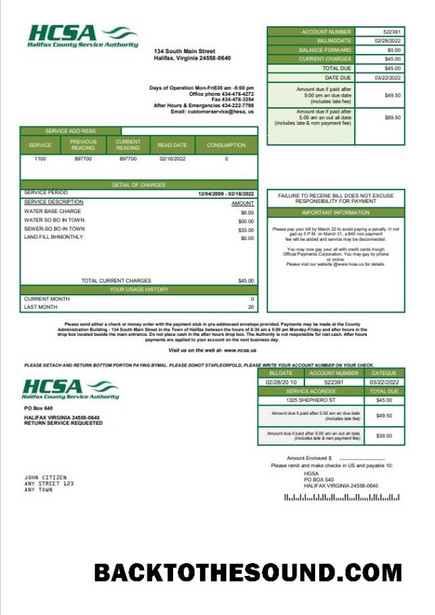 İndir ABD Virginia HCSA Fatura Fatura in Word and PDF Format Örnek tasarım