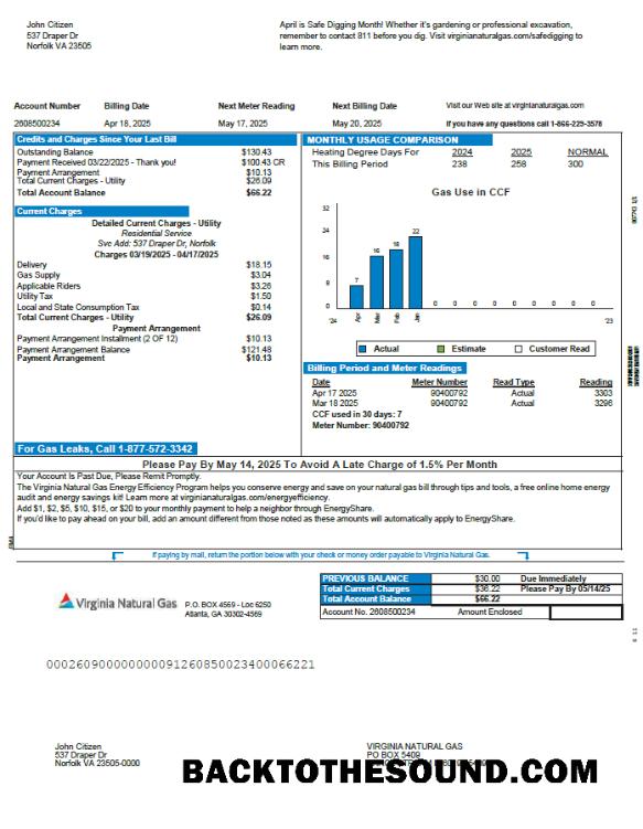 İndir ABD Virginia Natural Gaz Fatura Fatura in Word and PDF Formatlar Örnek ön izleme