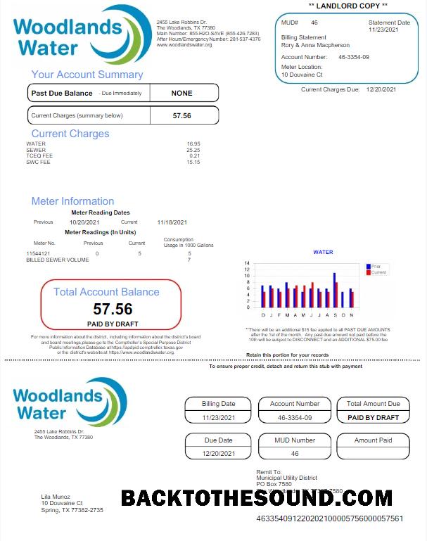 İndir ABD WOODLANDS Su Fatura Fatura Word and PDF Örnek taslak