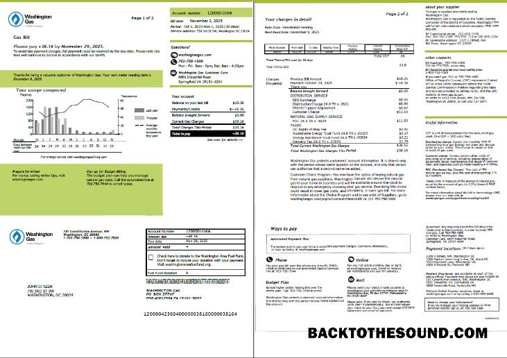 İndir ABD Washington Gaz Fatura Fatura in Word and PDF Formatlar, 2 pages Örnek örnek