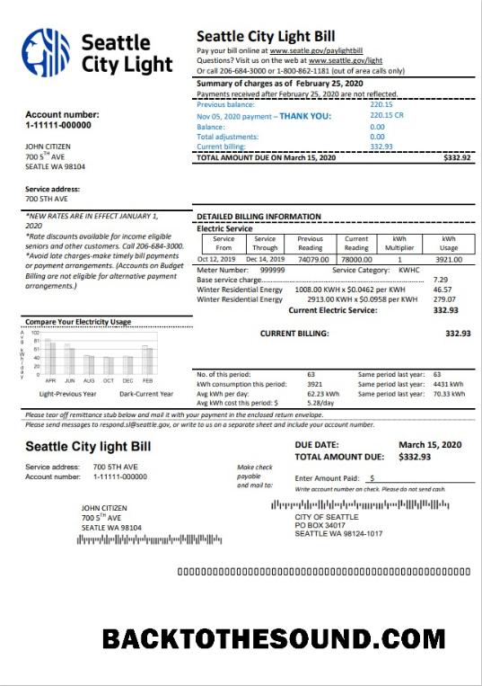 İndir ABD Washington Seattle City Light Fatura Fatura in Word and PDF Format Örnek taslak