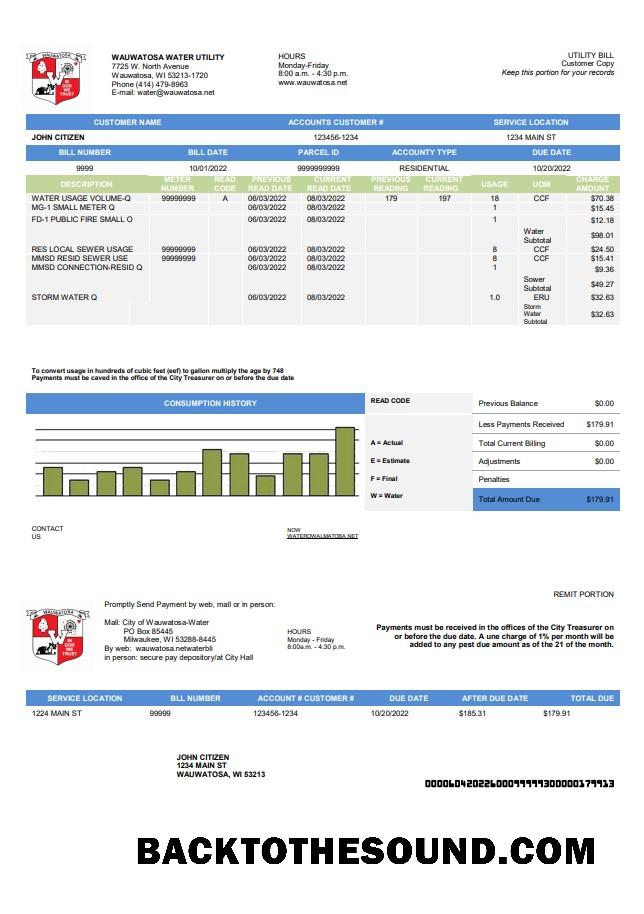 İndir ABD Wawatosa Su Fatura Fatura Fatura in Word and PDF Format Örnek tasarım
