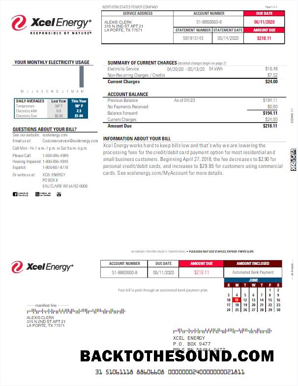 İndir ABD XCEL ENERGY Fatura Fatura Word and PDF Örnek taslak