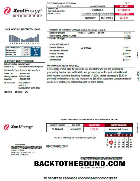 İndir ABD Xcel Energy Fatura Fatura in Word and PDF Formatlar, Sürüm 2 Örnek örnek