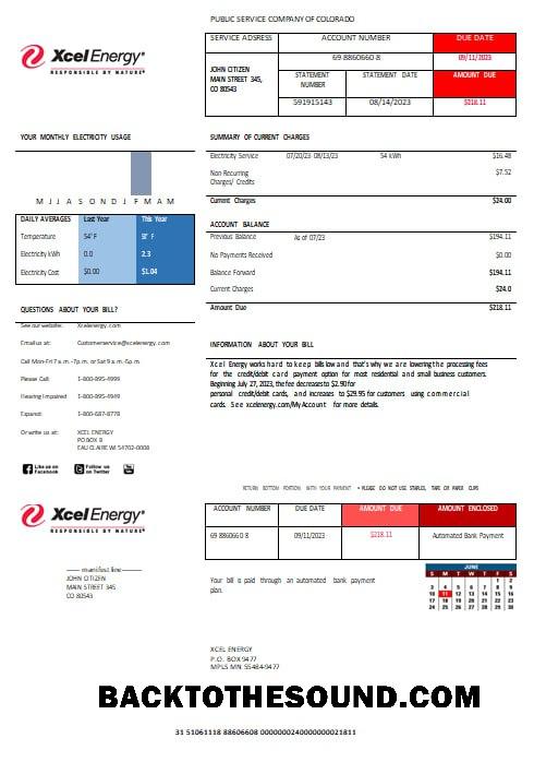 İndir ABD XcelEnergy electric Fatura Fatura Word and PDF Formatlar Örnek taslak