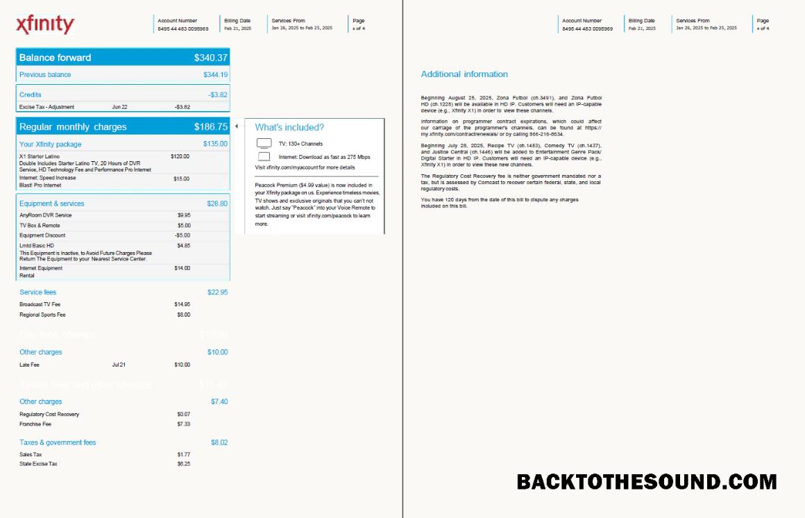 İndir ABD Xfinity Fatura Fatura in Word and PDF Formatlar, 4 pages, Sürüm 2, 3 4 pages Örnek tasarım