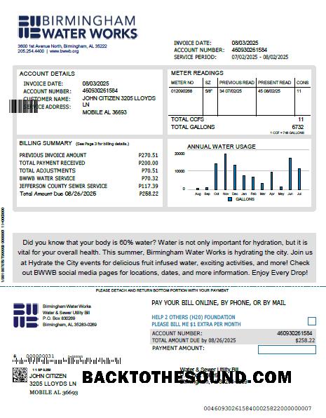 İndir Birleşik Krallık Birmingham Su Fatura Fatura in Word and PDF Formatlar, Sürüm 2 Örnek örnek