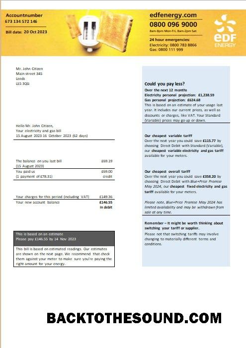 İndir Birleşik Krallık EDF Energy Elektrik and Gaz Fatura Fatura Word and PDF Formatlar Örnek şablon