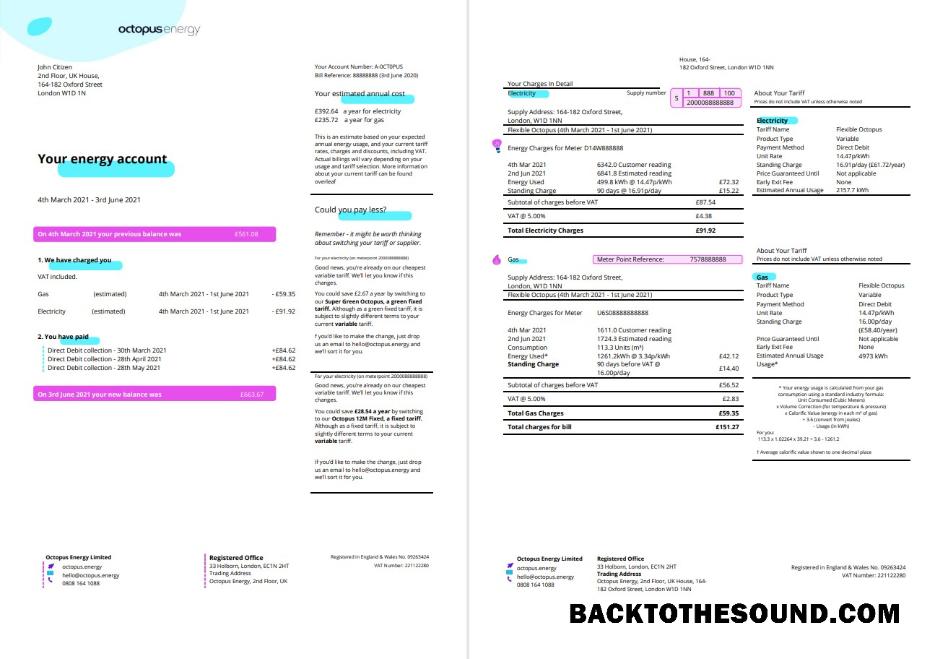 İndir Birleşik Krallık Octopus Energy Fatura Fatura in Word and PDF Format, 3 pages 1 2 Örnek şablon