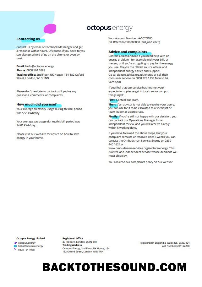 İndir Birleşik Krallık Octopus Energy Fatura Fatura in Word and PDF Format, 3 pages 3 Örnek tasarım