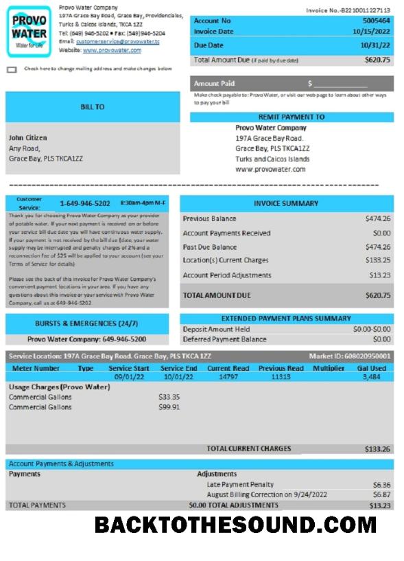 İndir Birleşik Krallık Turks and Caicos Islands Provo Su Şirket Fatura Örnek taslak