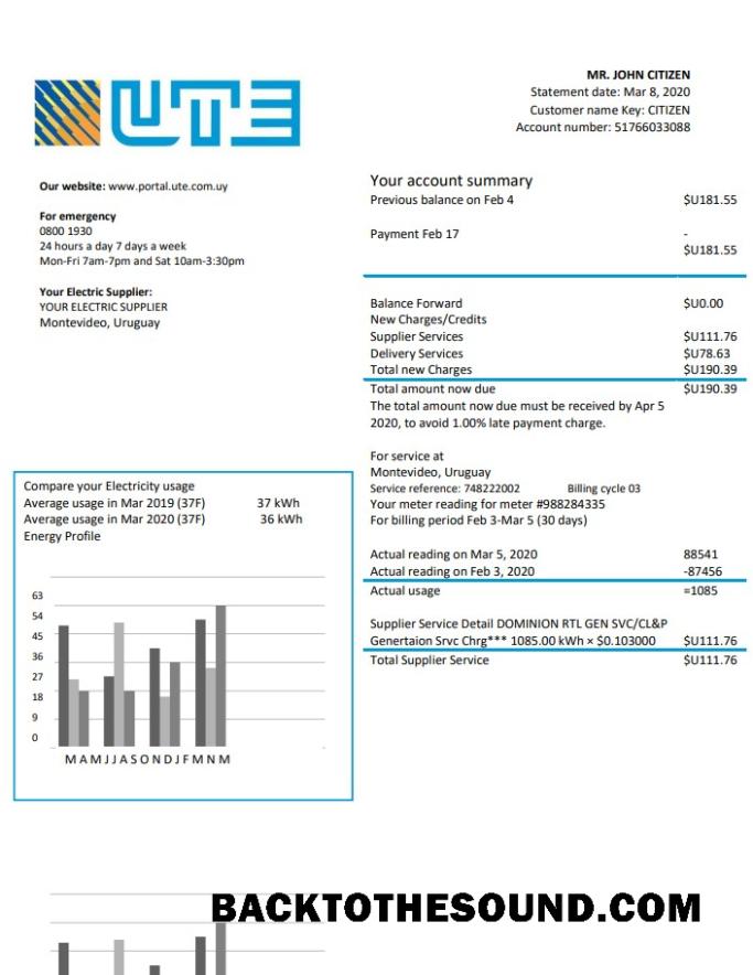 İndir Uruguay UTE Şirket Elektrik Fatura Fatura in Word and PDF Format Örnek şablon